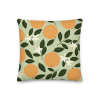 all-over-print-premium-pillow-18×18-back-665f3dd47cd52.png