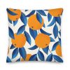 all-over-print-premium-pillow-22×22-back-665f233870f7b.png