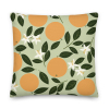 all-over-print-premium-pillow-22×22-front-665f3dd47d46b.png
